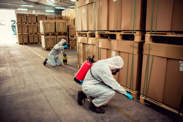 Best Emergency Pest Control  in Millersburg, OR