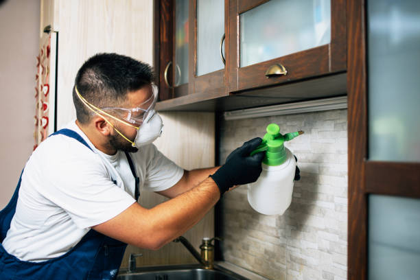 Best Spider Control Near Me  in Millersburg, OR