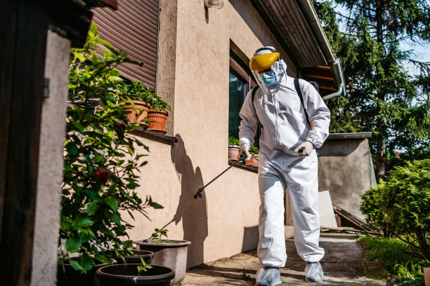 Best Affordable Exterminators  in Millersburg, OR