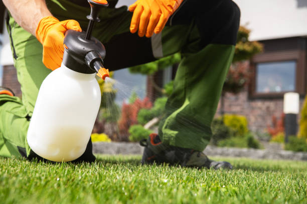 Best Rat Extermination Near Me  in Millersburg, OR