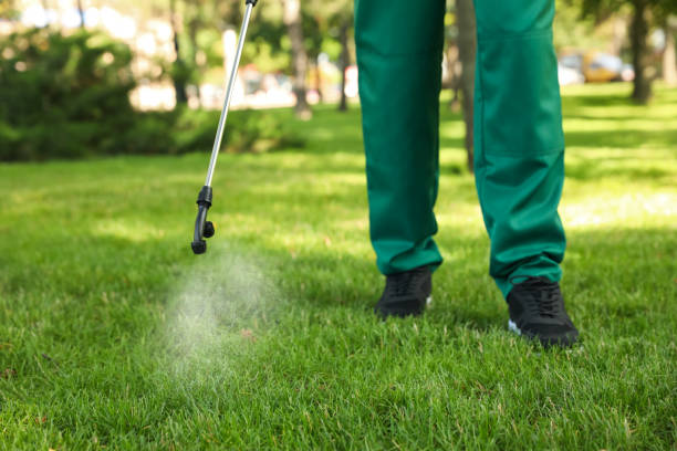 Best Pest Prevention Services  in Millersburg, OR