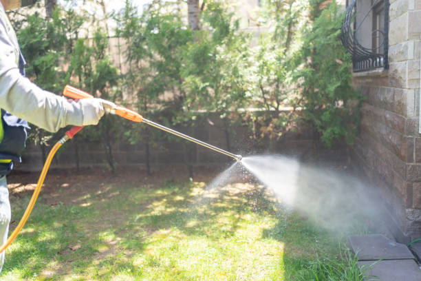Trusted Millersburg, OR Pest Control Experts