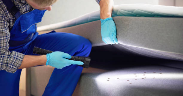 Best Bed Bug Extermination  in Millersburg, OR