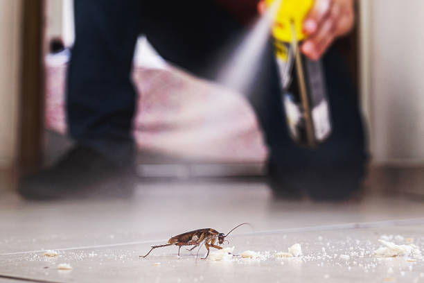 Pest Prevention Services in Millersburg, OR