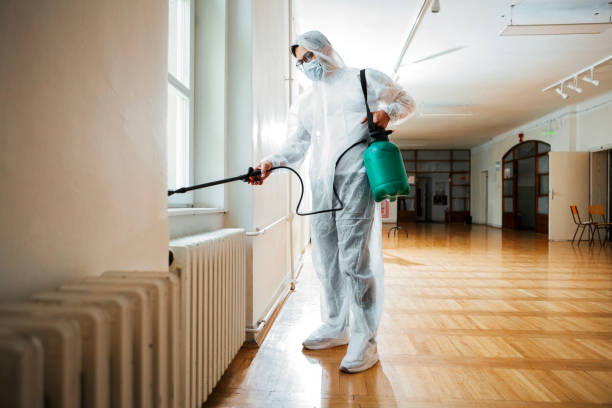 Best Termite Control Services  in Millersburg, OR
